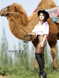 [AISs love silk] silk stockings leg shooting HD original big picture no.031 Silk Road(12)