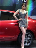 South Korean model goddess Li Enhui 2014 Busan International Auto Show atlas package 2(122)