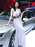 Audi booth of Beijing Auto Show 2010(14)
