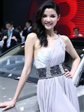 Audi booth of Beijing Auto Show 2010(15)