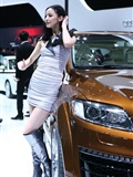 Audi booth of Beijing Auto Show 2010(42)