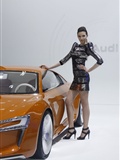 Audi booth of Beijing Auto Show 2010(53)