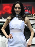 Audi booth of Beijing Auto Show 2010(82)