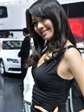 Audi booth of Beijing Auto Show 2010(98)