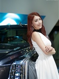 2015韩国国际车展超级车模李圣花(15)