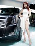 2015 Korea International Auto Show super car model Li Shenghua(16)