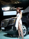 2015 Korea International Auto Show super car model Li Shenghua(25)