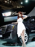 2015 Korea International Auto Show super car model Li Shenghua(27)