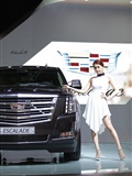 2015 Korea International Auto Show super car model Li Shenghua(8)