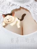 [PR Club Forrest] domestic kittens - June scale view(93)