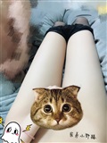 [PR Club Forrest] domestic kittens - June scale view(127)