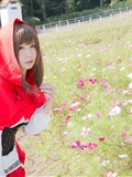 Little Red Riding Hood(49)