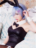 Coser pastry fairy rabbit girl(30)