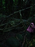木下亚由美写真 第三季(72)