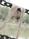 Silkbaby: grey silk in broad daylight(31)