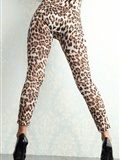 Leopard leopard print costume 4K star No. 0025(12)