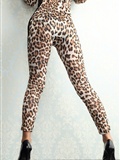 Leopard leopard print costume 4K star No. 0025(14)