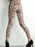 Leopard leopard print costume 4K star No. 0025(15)