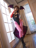 [Cosplay] 2013.04.14 Darkstalkers&Digi Charat 2(75)