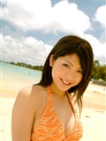 Sakura Sato (Sato) [@ misty] No.331(9)