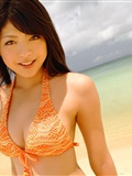 Sakura Sato (Sato) [@ misty] No.331(19)