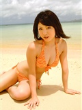 Sakura Sato (Sato) [@ misty] No.331(22)