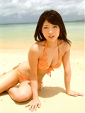 Sakura Sato (Sato) [@ misty] No.331(23)