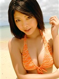 Sakura Sato (Sato) [@ misty] No.331(26)