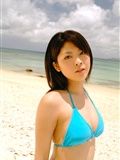 Sakura Sato (Sato) [@ misty] No.331(31)