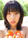藤江れいな Reina Fujie『常夏 Reina [YS Web] Vol.442(66)