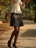Short skirt silk stockings beauty Persian cat collection 33(37)
