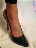 Silk stockings beauty foot show Persian cat VIP selected set of pictures(45)