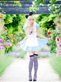 [Cosplay] 2013.03.20 Alice in Wonderland by Necoco(17)