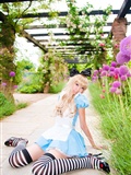 [Cosplay] 2013.03.20 Alice in Wonderland by Necoco(24)