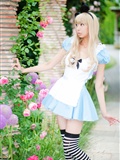 [Cosplay] 2013.03.20 Alice in Wonderland by Necoco(27)