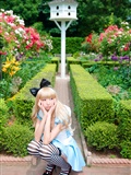 [Cosplay] 2013.03.20 Alice in Wonderland by Necoco(41)