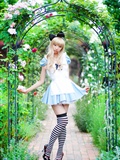 [Cosplay] 2013.03.20 Alice in Wonderland by Necoco(57)