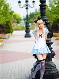 [Cosplay] 2013.03.20 Alice in Wonderland by Necoco(63)