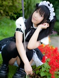 Cosplay uniform beauty lotus - Coser Collection 8 C78 - Outdoor stockings(25)