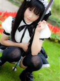 Cosplay uniform beauty lotus - Coser Collection 8 C78 - Outdoor stockings(27)