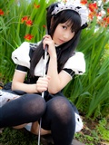 Cosplay uniform beauty lotus - Coser Collection 8 C78 - Outdoor stockings(37)