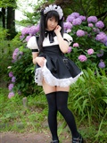 Cosplay uniform beauty lotus - Coser Collection 8 C78 - Outdoor stockings(52)