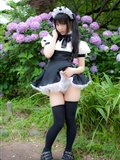 Cosplay uniform beauty lotus - Coser Collection 8 C78 - Outdoor stockings(56)