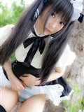 Cosplay uniform beauty lotus - Coser Collection 8 C78 - Outdoor stockings(78)