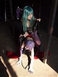 A complete set of cosplay pictures(16)