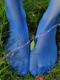 Silent silk language silk stockings set picture super cool and fresh cored silk pantyhose (blue)(24)