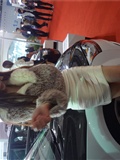 Photo set of domestic beauty car models at Guangzhou refitting Auto Show (the third set)(20)