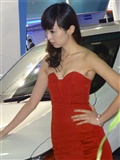 2012 Guangzhou refitting auto show car models(43)