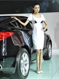 The first season of car models in Changchun Auto Show(17)