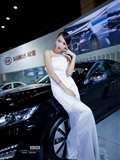 The 4th Zhengzhou International Auto Show(21)